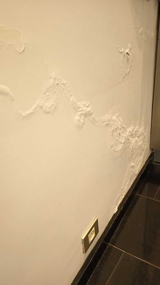 Détail des dégradations murales